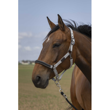 Halfter Equithème Nylon Chevron Hellgrau