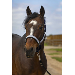 Halfter Equithème Nylon Check Marine / Schwarz Blau Halfter Equithème Nylon Check Marine / Schwarz Blau