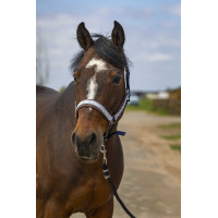 Halfter Equithème Nylon Check Marine / Braun Blau