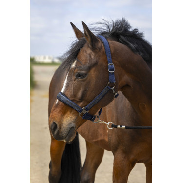 Halfter Equithème Nylon Strass Marineblau