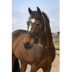 Halfter Equithème Nylon Strass Grün Gr&uuml;n