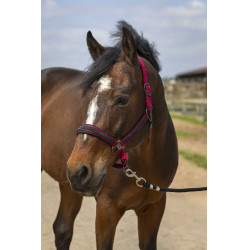 Halfter Equithème Nylon Strass Bordeaux Halfter Equithème Nylon Strass Bordeaux
