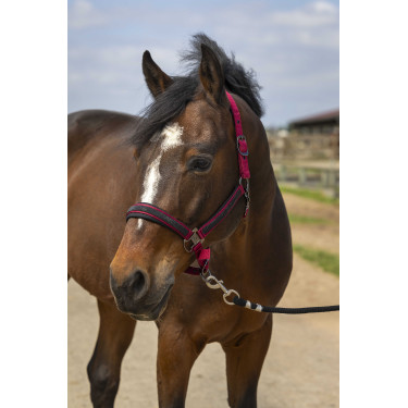 Halfter Equithème Nylon Strass Bordeaux Halfter Equithème Nylon Strass Bordeaux