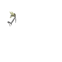 Fliegenhaube LeMieux Esme Macaron