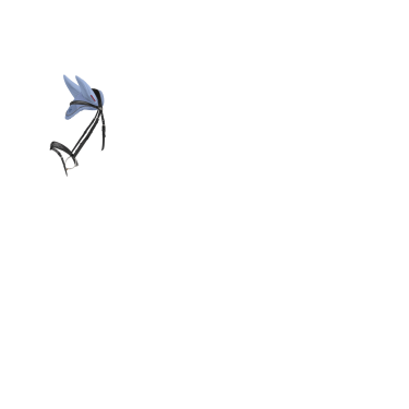 Fliegenhaube LeMieux Esme Puderblau Fliegenhaube LeMieux Esme Puderblau