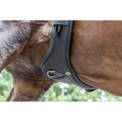 Kurzgurt LeMieux Gel-Tek Anatomic Kurzgurt LeMieux Gel-Tek Anatomic