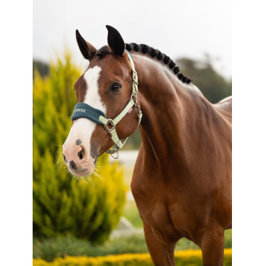 Halfter und Führstrick LeMieux Vogue Esme Macaron Halfter und Führstrick LeMieux Vogue Esme Macaron