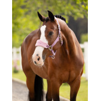 Halfter und Führstrick LeMieux Vogue Esme Blaues Korn