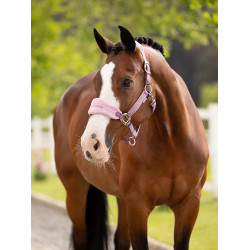 Halfter und Führstrick LeMieux Vogue Esme Malve