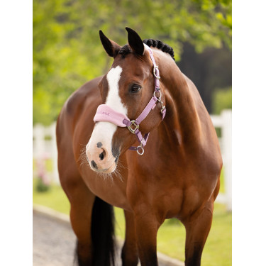 Halfter und Führstrick LeMieux Vogue Esme Malve