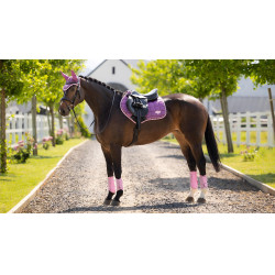 Satteldecke LeMieux Loire Close Contact Square Springen Malve