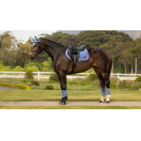 Satteldecke LeMieux Loire Close Contact Square Springen Benetton Blau