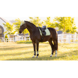 LeMieux Suede Dressage Square Reflective Macaron LeMieux Suede Dressage Square Reflective Macaron