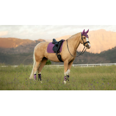 LeMieux Suede Dressage Square Reflective Malve