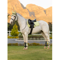 LeMieux Reflektierendes Wildleder Unisex GP Schabracke Marineblau