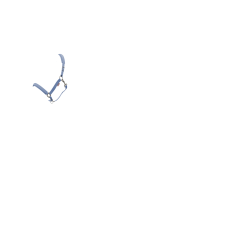 LeMieux Essence Halfter Puderblau LeMieux Essence Halfter Puderblau