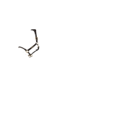 LeMieux Rope Control Halfter Schwarz