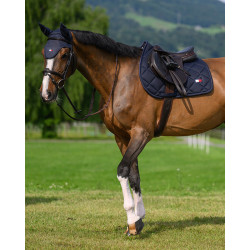 Satteldecke Tommy Hilfiger Equestrian Columbia Wüstenhimmel Blau