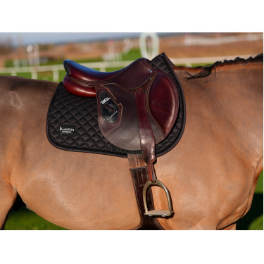 Schabracke Le Sabotier Igor