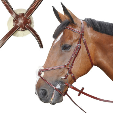 Bridon Lexington Denver Kreuz