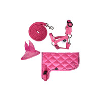 Neon-Set HKM Hobby Horse