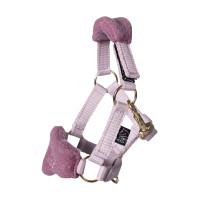 Halfter-Set Cuddle Horse HKM