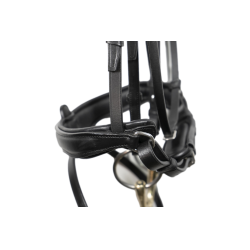 Anatomisches Dressur-Zaumzeug Signature by Antares mit kombiniertem Reithalfter