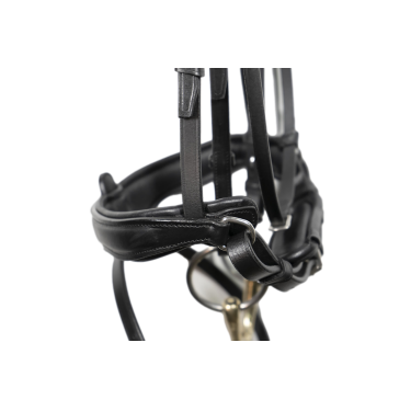 Anatomisches Dressur-Zaumzeug Signature by Antares mit kombiniertem Reithalfter