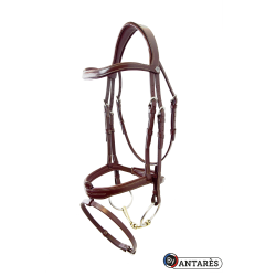 Trense Signature by Antares kombiniertes Reithalfter Signature