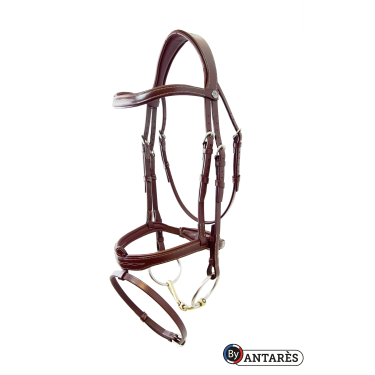 Trense Signature by Antares kombiniertes Reithalfter Signature