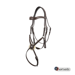 Trensenzaum Signature by Antares mit kombiniertem Reithalfter
