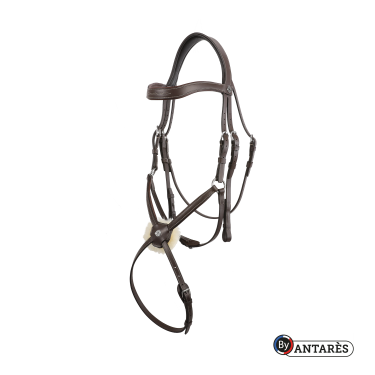 Trensenzaum Signature by Antares mit kombiniertem Reithalfter