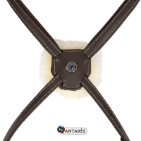 Trensenzaum Signature by Antares mit kombiniertem Reithalfter