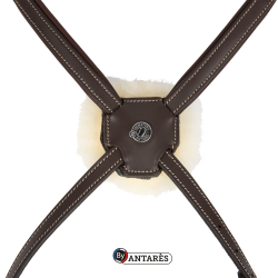 Trensenzaum Signature by Antares mit kombiniertem Reithalfter