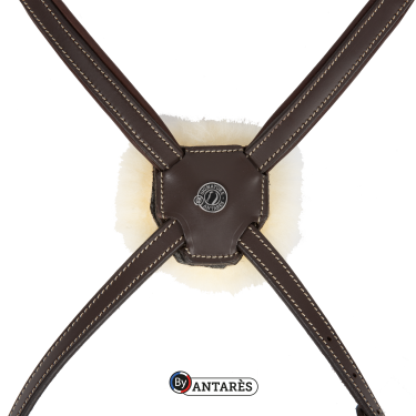 Trensenzaum Signature by Antares mit kombiniertem Reithalfter