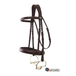 Trensenzaum Signature by Antares Hunter