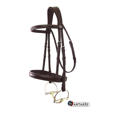 Trensenzaum Signature by Antares Hunter