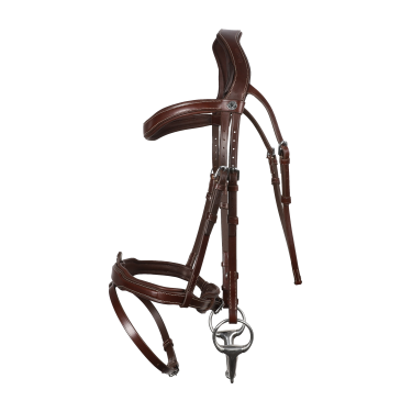 Trense Signature Sport by Antares mit kombiniertem Reithalfter
