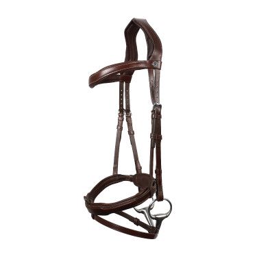 Trense Signature Sport by Antares mit kombiniertem Reithalfter