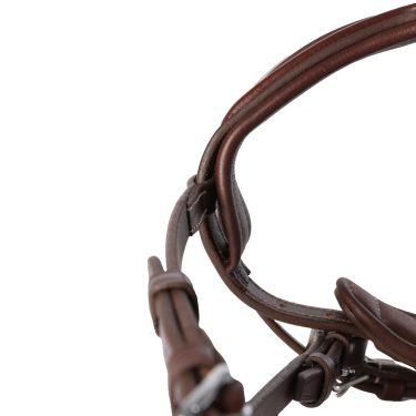 Trense Signature Sport by Antares mit kombiniertem Reithalfter