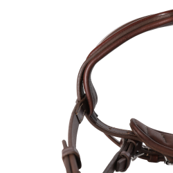 Trense Signature Sport by Antares mit kombiniertem Reithalfter