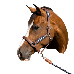 Antarès Stressless-Grimstrike-Halfter