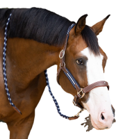 Antarès Stressless-Grimstrike-Halfter