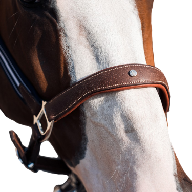 Antarès Stressless-Grimstrike-Halfter