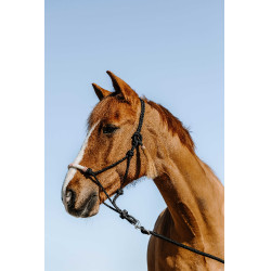 Ethologisches Knotenhalfter Westride Western