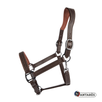 Anatomisches Signature by Antares Lederhalfter Anatomisches Signature by Antares Lederhalfter