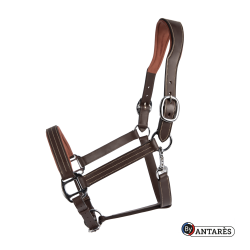 Anatomisches Signature by Antares Lederhalfter