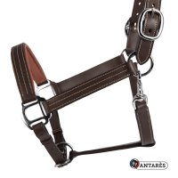 Anatomisches Signature by Antares Lederhalfter Anatomisches Signature by Antares Lederhalfter