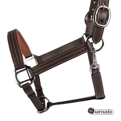 Anatomisches Signature by Antares Lederhalfter