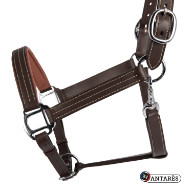 Anatomisches Signature by Antares Lederhalfter